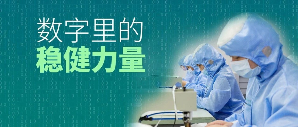 数字里的尊龙凯时力量：行动胜于口号，结果兑现承诺！