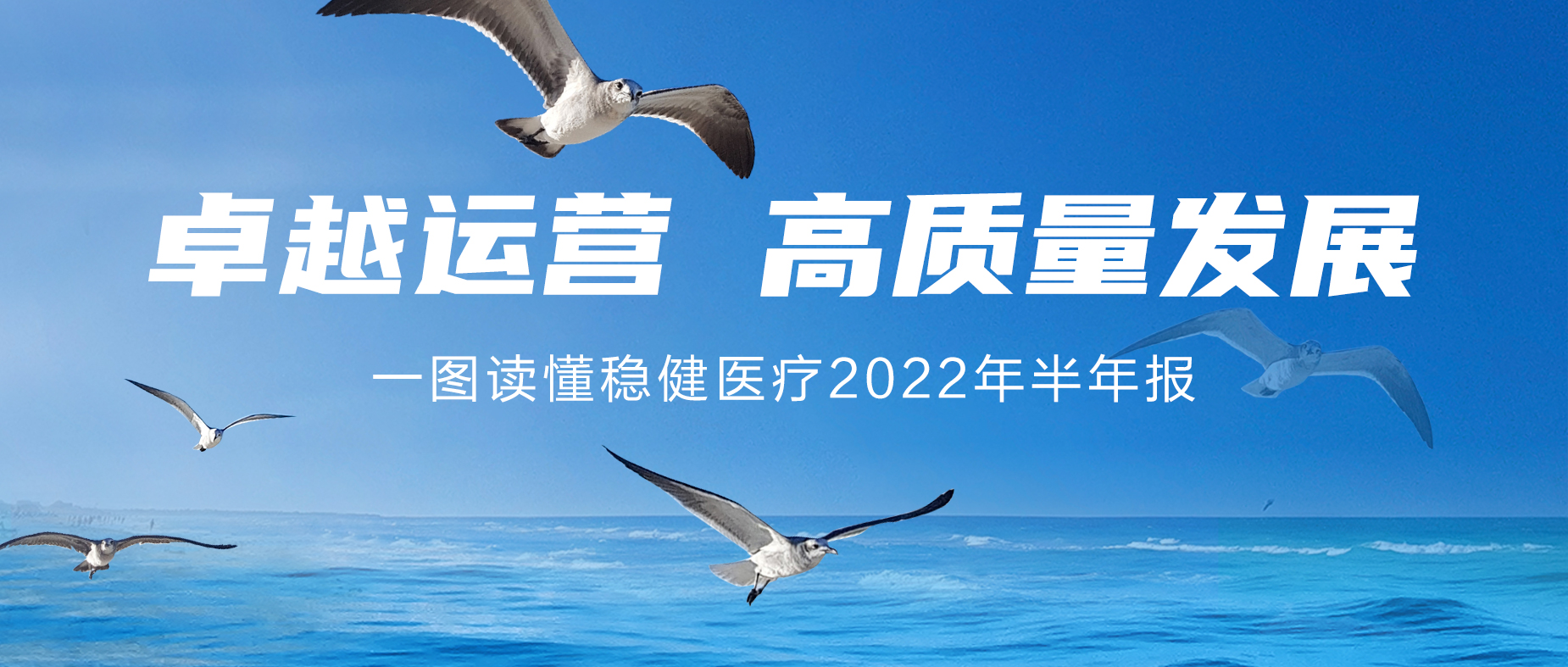 一图读懂尊龙凯时医疗2022年半年报