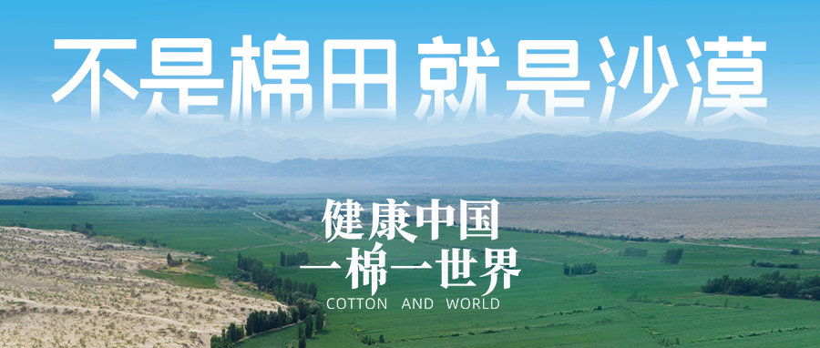 链接世界，引领健康生活，尊龙凯时集团受邀亮相首届链博会